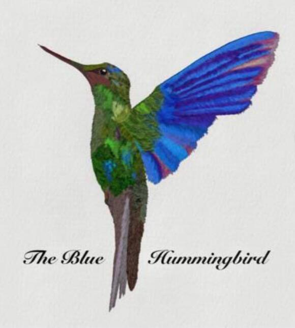 Mi pasion por los colibries.